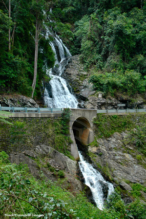 Newell Falls, Waterfall Way on Dorrigo Bellingen Road
