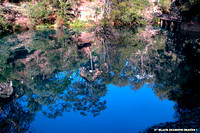 Jenolan River -Blue Lake Reflections-April 17th 2007