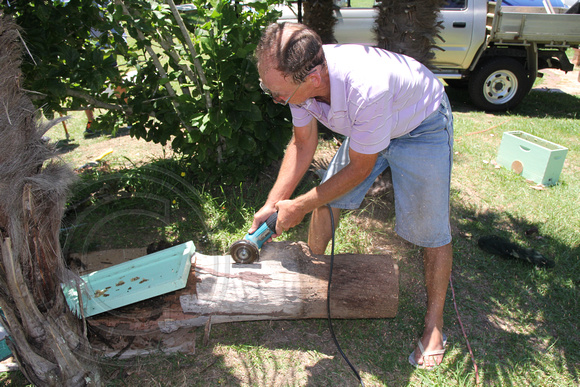 Using an Angle Grinder to Reveal Brood Comb Wax in a Log containing a Native Bee Hive
