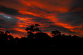Figtree Sunset 26th June 2007