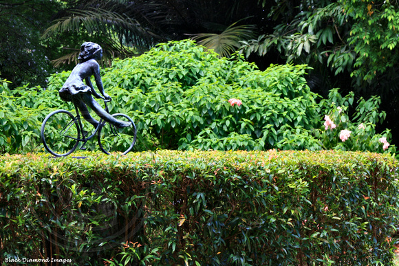 Girl on a Bike - Singapore Botanic Gardens