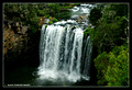 Dangar Falls Waterfall Way, Dorrigo