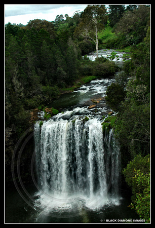 Dangar Falls Waterfall Way, Dorrigo
