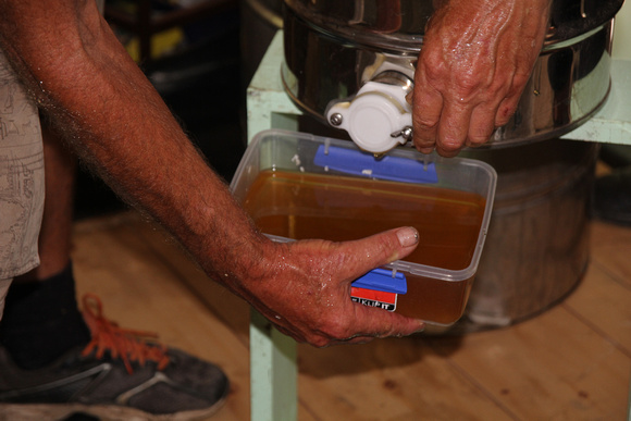 Extracting Honey at Raintrees, 2nd Jan 2015