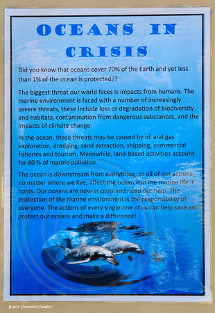 Oceans in Crisis - Interpretive Sign, Dolphin Pool, Coffs Harbour, NSW