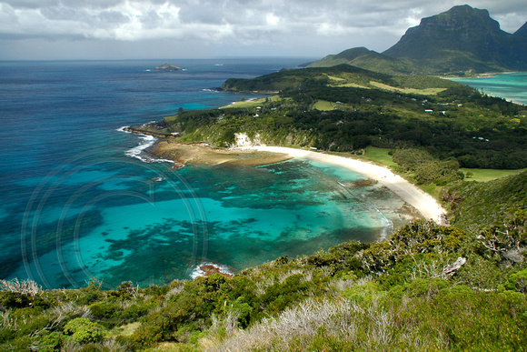 Neds Beach-Lord Howe Island