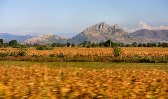 Rural Scene in Albania