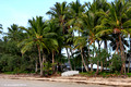 Mission Beach - Wongaling Beach