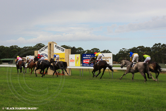 Race 4 Feature Event -Tuncurry - Forster Gold Cup 2100m -Tuncurry Forster Jockey Club Inaugural Races 14.3.2009
