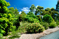Tim and Jenny's Garden - Hallidays Point NSW