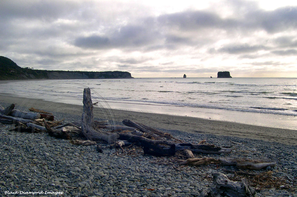 Beach Landscape Greymouth to Punakaiki, West Coast South Island, New Zealand
