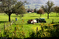 Giswil - A Swiss Farm