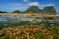 CORAL and LAGOON Lord Howe Island