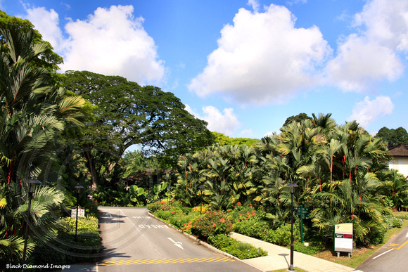 Entrance Singapore Botanic Gardens