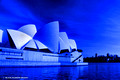 Sydney blue