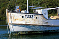 Y292 - HMAS TORTOISE (Built 1945), Seen Here Moored in Riley's Bay, Ettalong, NSW, 20.5.2015