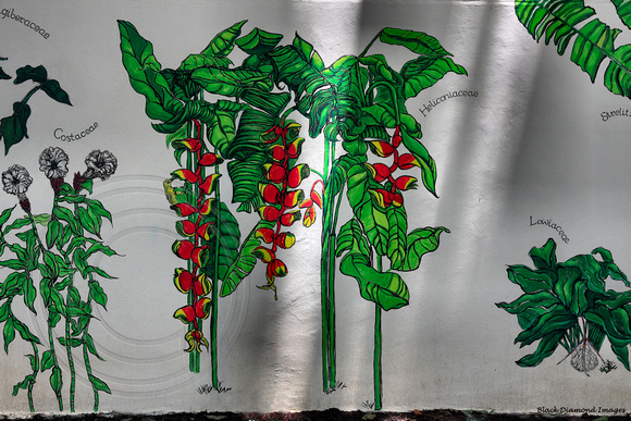 Costaceae, Heliconiaceae, Lowiaceae Mural in Ginger Garden, Singapore Botanic Gardens, Singapore
