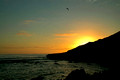 Sunrise,Neds Beach,Lord Howe Island