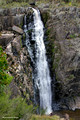 29.3.2011 Aspley Falls, Waterfall Way, NSW