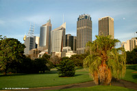 Sydney City over Botanic Gardens