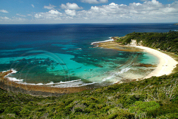 Neds Beach-Lord Howe Island