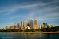 Sydney City over the Botanic Gardens
