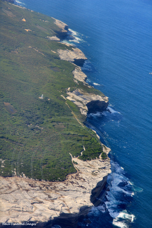 Cape Banks Aquatic Reserve, La Perouse, Sydney, NSW