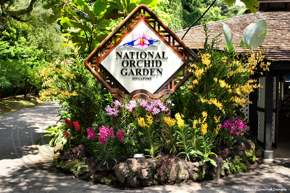National Orchid Garden - Singapore Botanic Gardens