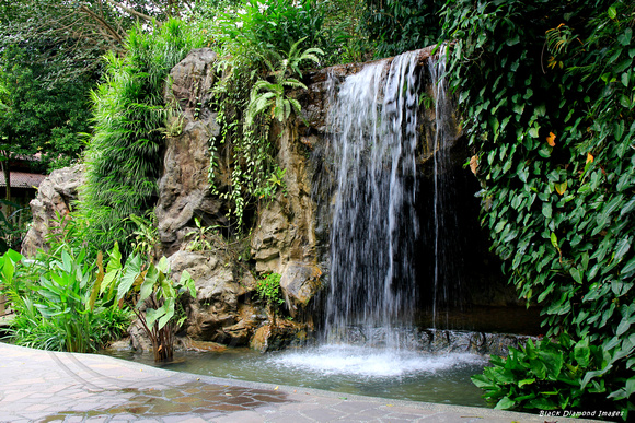 Waterfall, Singapore Botanic Gardens, Singapore