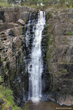 29.3.2011 Aspley Falls, Waterfall Way, NSW