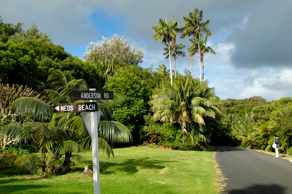 Kim's Lookout to Old Settlement