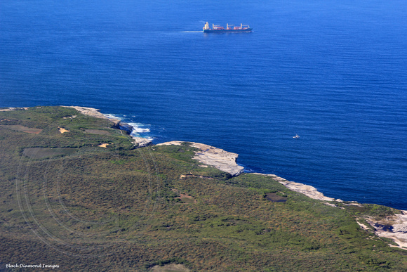 Cape Banks Aquatic Reserve, La Perouse, Sydney, NSW