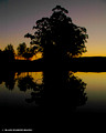 Myall River Sunset 10.8.2007(58)ed