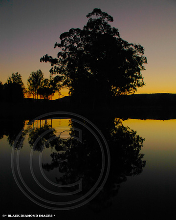 Myall River Sunset 10.8.2007(58)ed