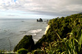 Temperate Rainforest Greymouth to Punakaiki, West Coast South Island, New Zealand