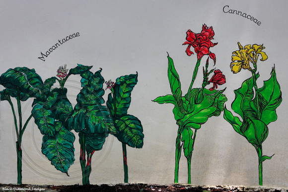 Marantaceae, Cannaceae Mural in Ginger Garden, Singapore Botanic Gardens, Singapore