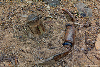 McBrides Beach & Track, Cape Hawke, Forster