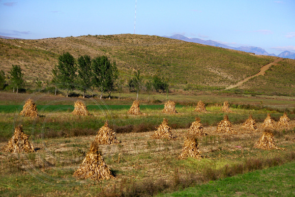Rural Scene in Albania