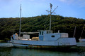 Y292 - HMAS TORTOISE (Built 1945), Seen Here Moored in Riley's Bay, Ettalong, NSW, 20.5.2015